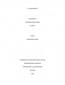 Administración de empresas, introduccion a la investigación