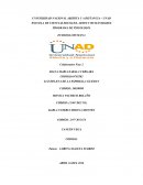 PROGRAMA DE PSICOLOGÍA ECOLOGIA HUMANA