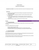 Descripción de la Actividad: En esta actividad se desarrolla la evaluación del trabajo grupal por encargo.