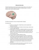 Afasia de Wernicke. Terapias y tratamientos