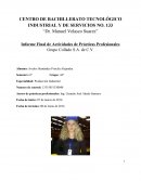 Informe Final de Actividades de Prácticas Profesionales Grupo Collado S.A. de C.V