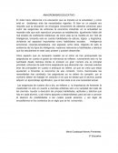 ANACRONISMO EDUCATIVO.