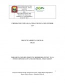 IMPLEMENTACION DEL PROYECTO “RESPIREMOS JUNTOS” EN LA INSTITUCION EDUCATIVA COLEGIO MIGUEL ANGEL MARTIN