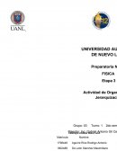 Gráficas del movimiento rectilíneo