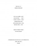 Laboratorio medidas directas