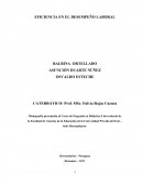 Eficiencia en el desempeño laboral