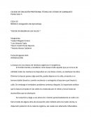 EXCESO DE BASURA EN LAS CALLES