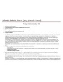 Trabajo Práctico Individual TIC