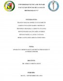 Sistema cardiovascular y aterosclerosis.