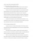 Caso Practico - IKEA