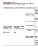 Tabla de competencias procesos y productos.