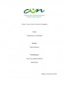 Ensayo: Un pavo real en el reino de los pingüinos.