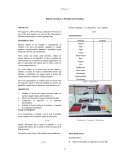 Reporte de física 3: Péndulo electrostático