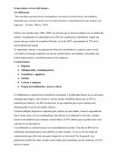 Generaciones a través del tiempo...