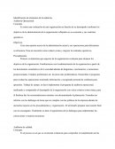 Identificación de elementos de la auditoria.