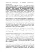 Relatoría Porcinos. Hacienda La Montaña