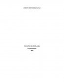 Ensayo sobre importancia de las clases de sexualidad.