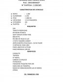 Turismo las Flores S.A.C