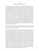 TEMA LIDERAZGO – EL JUGADOR N°16