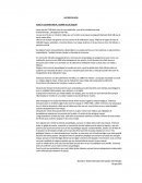 Resumen sobre la extinción de la civilización maya.