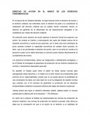 DERECHO DE ACCION EN EL MARCO DE LOS DERECHOS FUNDAMENTALES