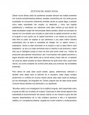 Esteticas del mundo social.