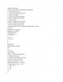 Historia del gas y petroleo.