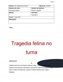 ABCDE del Dr. Martin Seligman.