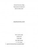 Asociacion amenericana de enfermeria.