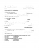 Gua de estudio para historia 6to año.