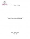 Trabajo de Campo: Historia y Terminología
