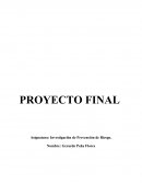 Investigación de Prevención de Riesgo.