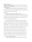 Protocolo de Investigación Estabilización de capas asfálticas para bases y sub-bases de suelos gruesos para pavimentos mediante mezcla con resinas poliméricas.