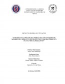 PROCESO DE LIMPIEZA DE CONCENTRADOS DE MOLIBDENITA MEDIANTE LIXIVIACIÓN CON CLORURO FÉRRICO