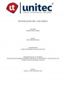 INVESTIGACION SOBRE LOS IMPLICADOS EN EL CASO ENRON Y ALGUNAS DE LAS CONSECUENCIAS DE DICHA ESTAFA