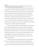 Anatomía humana/ Corazón