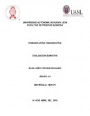 Evaluacion sumativa.