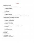 La pepa de palta RESUMEN EJECUTIVO