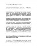INSUFICIENCIA DE LA TUTELA NORMATIVA