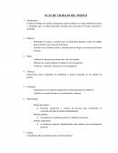 Plan de trabajo de un perito.