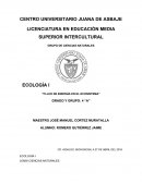 FLUJO DE ENERGÍA EN EL ECOSISTEMA.