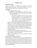 La Fisiología Celular