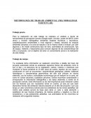METODOLOGÍA DE TRABAJO AMBIENTAL (MIA MODALIDAD PARTICULAR)