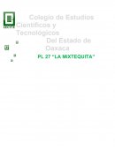 REPORTE FOTOGRÁFICO SOBRE PONCHADO DE CABLES.