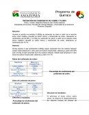 OBTENCIÓN DE CARBONATO DE COBRE Y PLOMO.