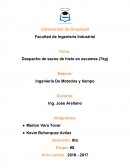 Despacho de sacos de hielo en escamas (7kg)