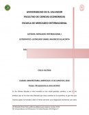 ENSAYO: “MI ARGUMENTO EN CONTRA DEL SICA”