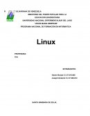 Dentro de este orden de ideas podríamos resumir el desarrollo que ha tenido Linux.