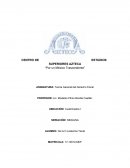 Por un México trascendente