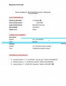 FORMATO DE CURRICULO.